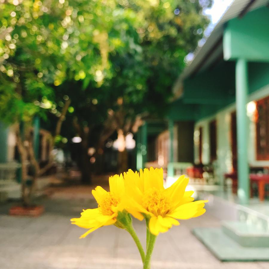 Anh Linh Guest House มุยเน่ ภายนอก รูปภาพ