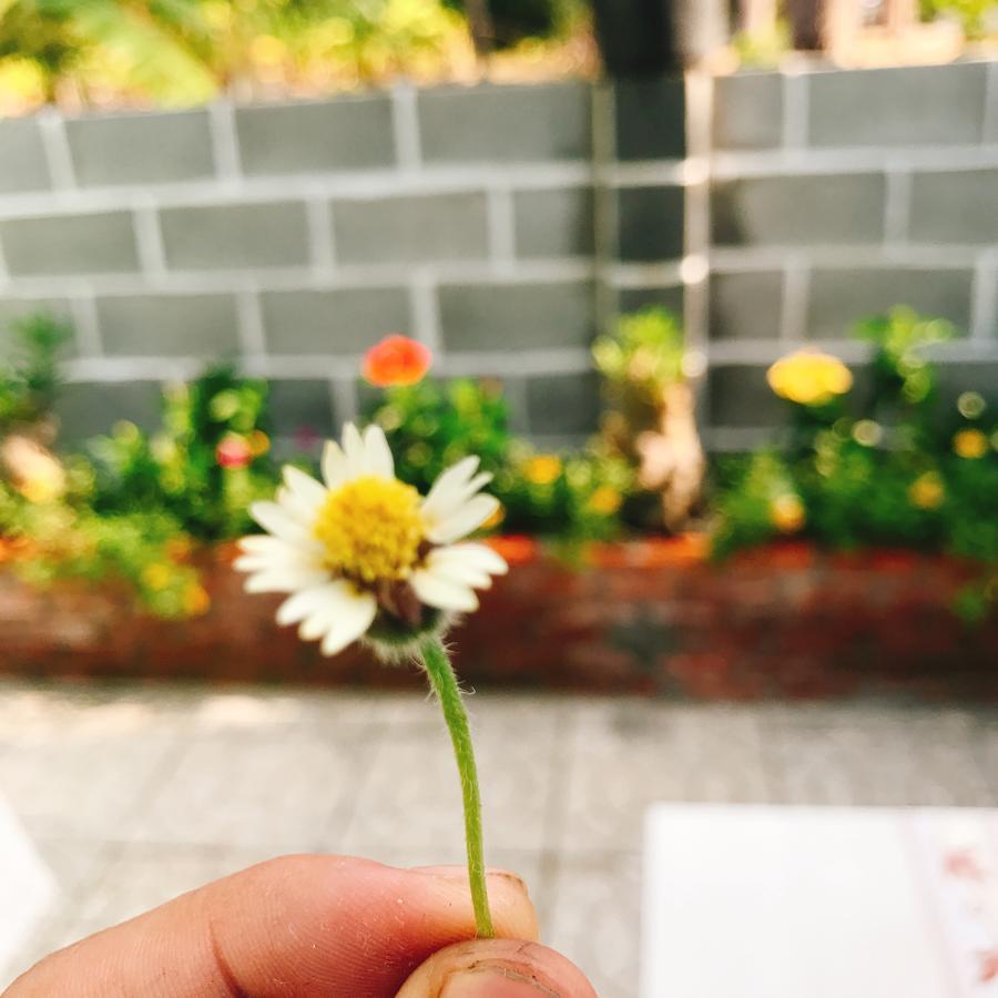 Anh Linh Guest House มุยเน่ ภายนอก รูปภาพ