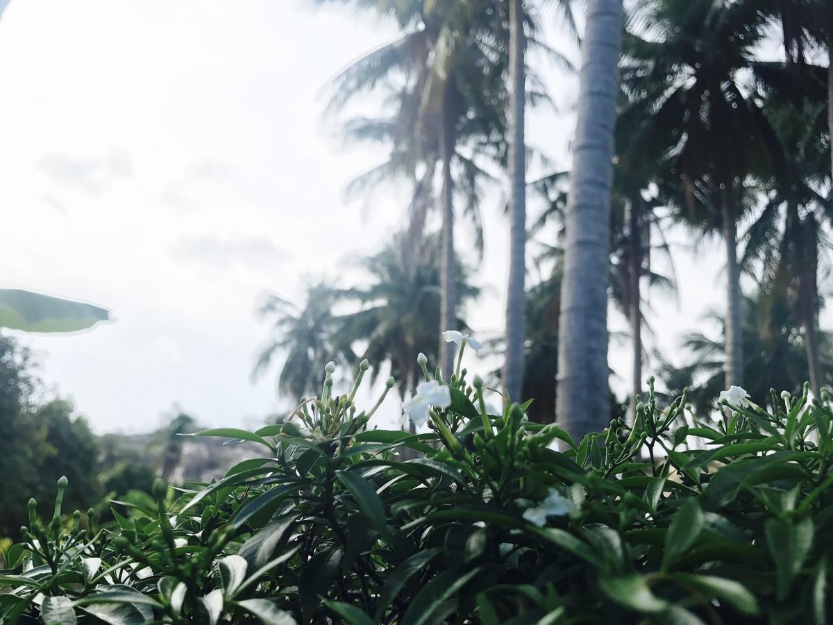 Anh Linh Guest House มุยเน่ ภายนอก รูปภาพ