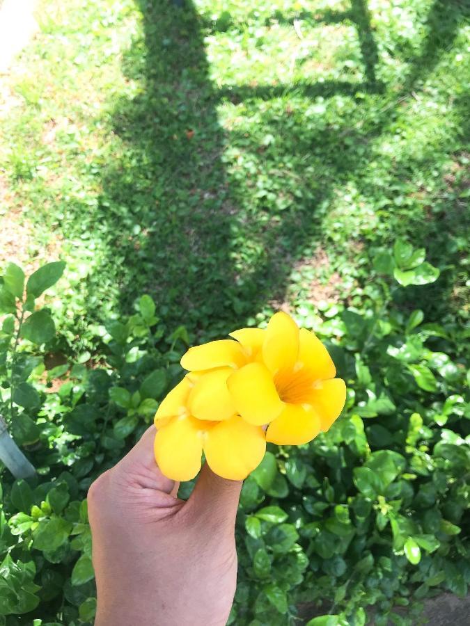 Anh Linh Guest House มุยเน่ ภายนอก รูปภาพ